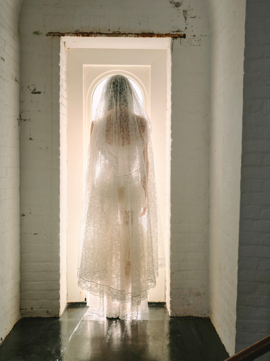 For Love and Lemons Juno Veil - White