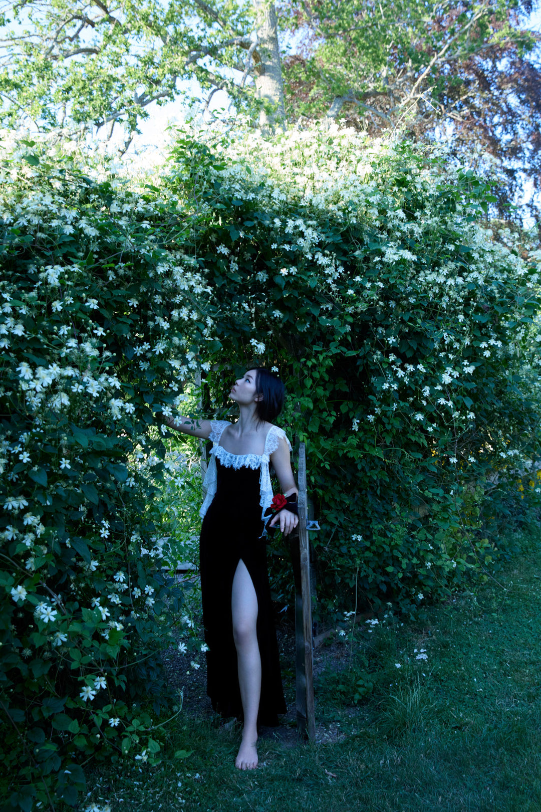 For Love and Lemons La Vie En Bow Velvet Maxi Dress - Black